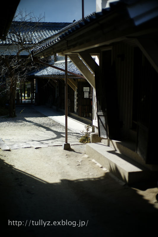 d0108132_206994.jpg