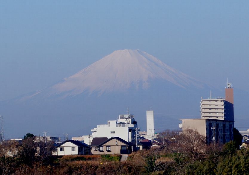 16/December 今日の富士山と紅葉と菜の花と薔薇_e0149934_1992696.jpg
