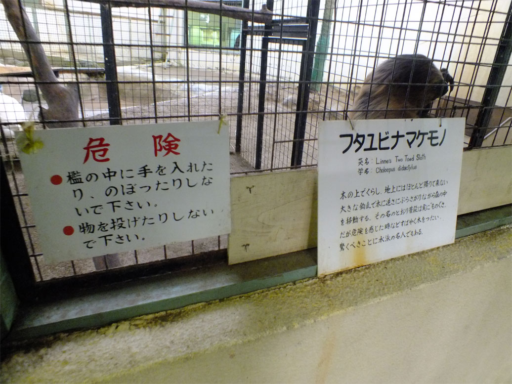 カピバララブラブファイヤー♪_a0179837_19471043.jpg