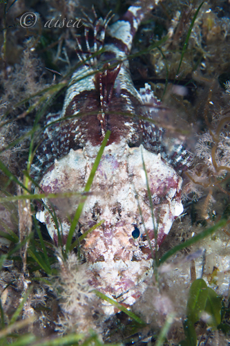 a0150039_23152871.jpg