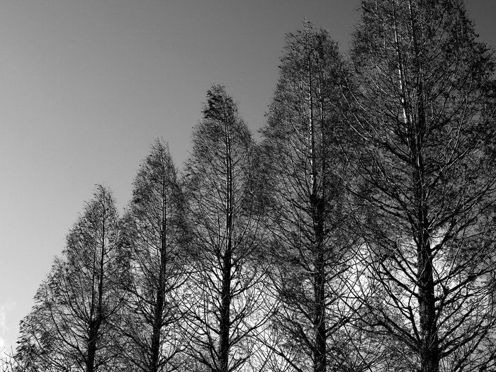 d0237340_15195556.jpg