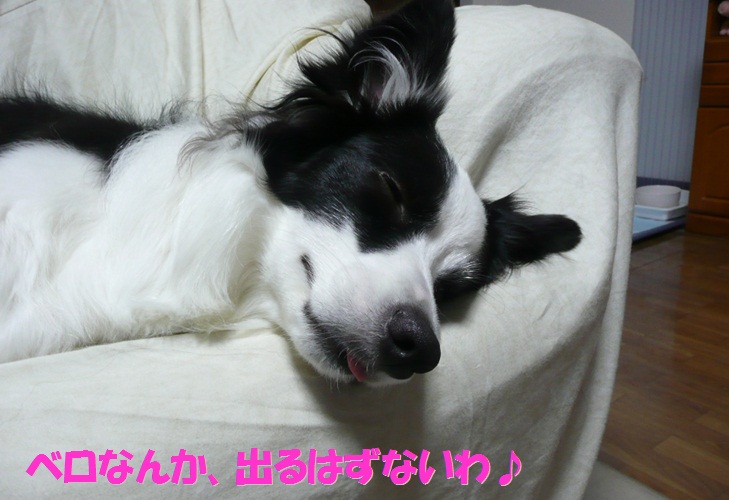 c0147241_18101942.jpg