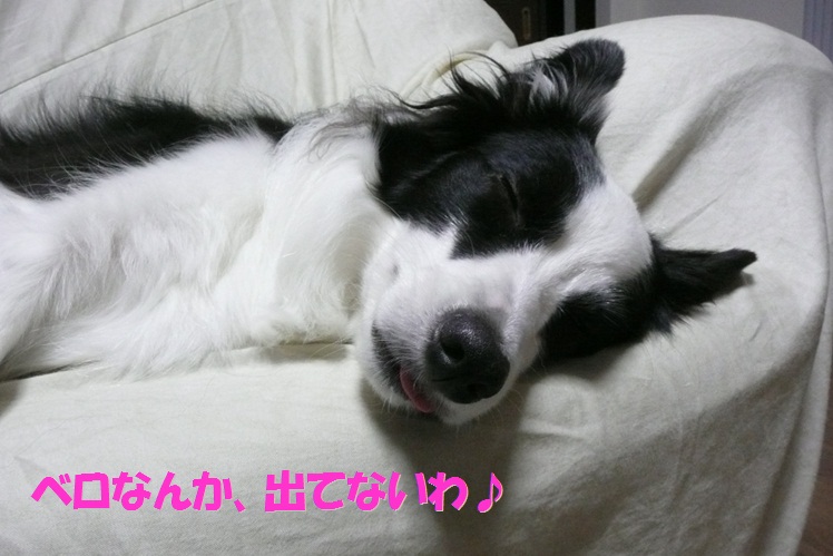 c0147241_1895892.jpg
