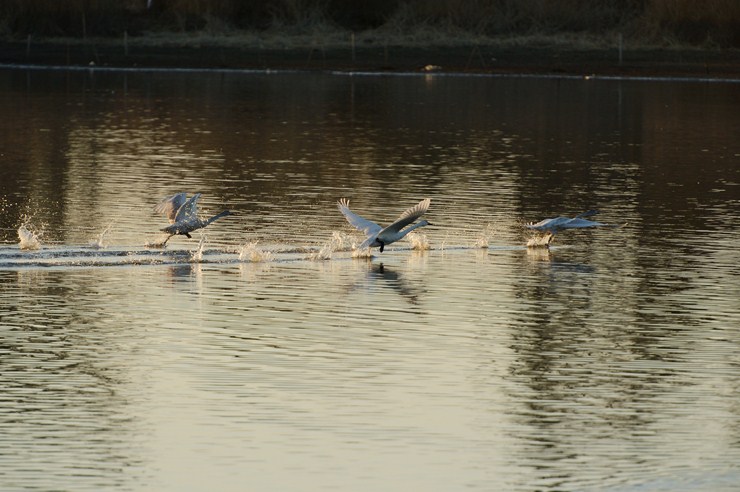 f0222161_148347.jpg