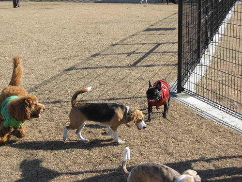 いつものラン、いつもと違う公園_a0300264_22184026.jpg