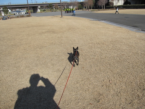 いつものラン、いつもと違う公園_a0300264_22485374.jpg