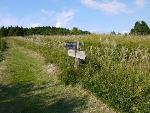 c0105068_8352747.jpg