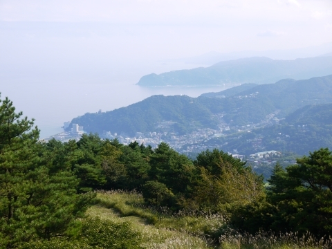 c0105068_8455514.jpg