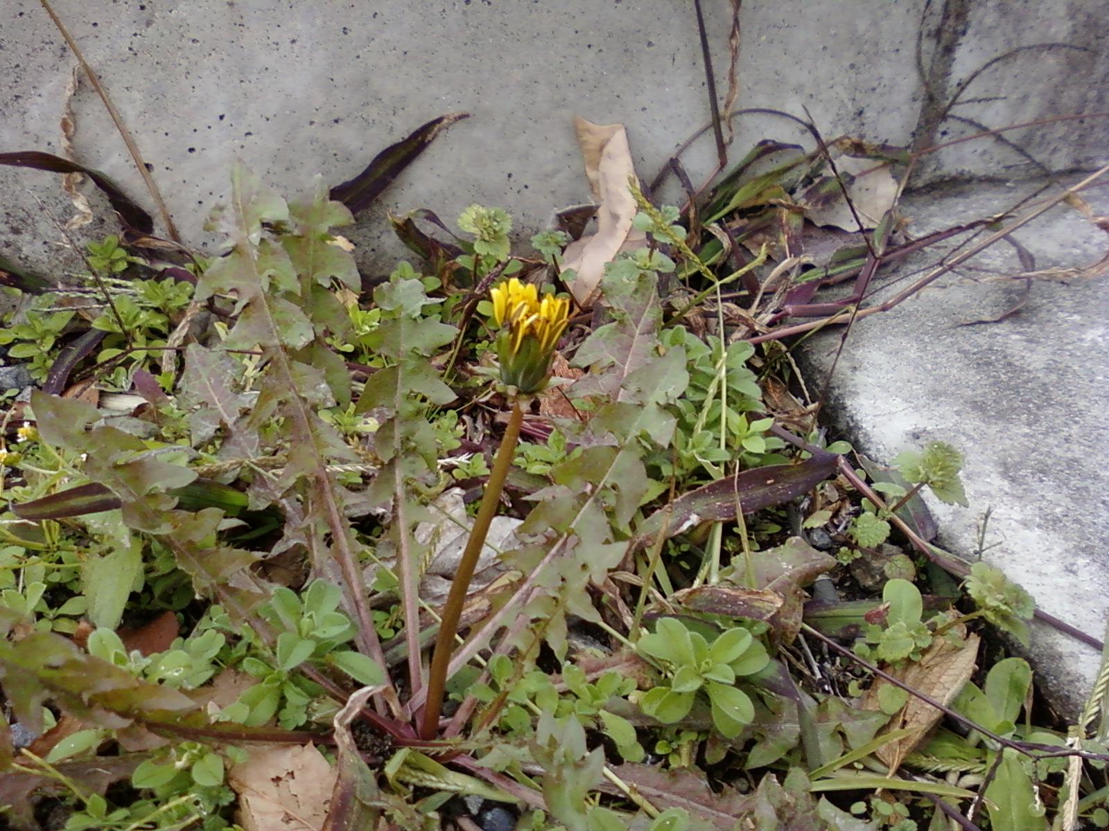 b0224770_22563390.jpg