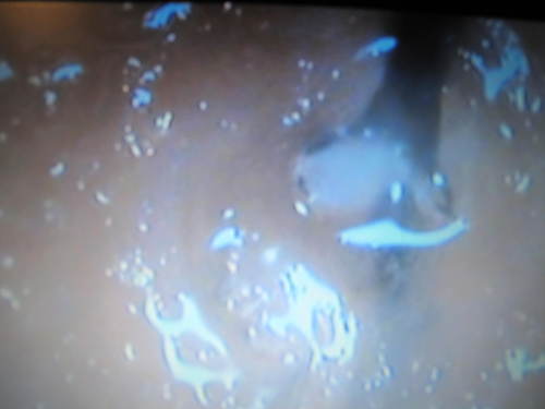 c0246876_15441058.jpg