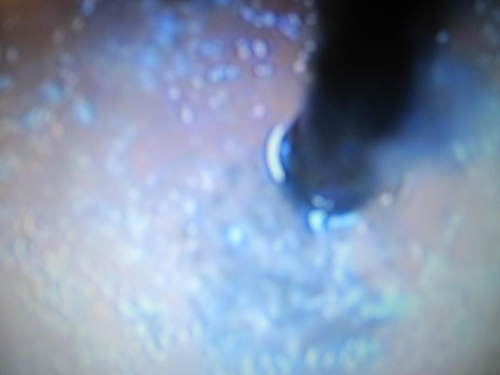 c0246876_1623613.jpg