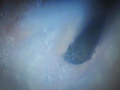 c0246876_1645178.jpg