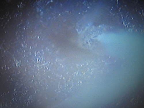 c0246876_17582242.jpg