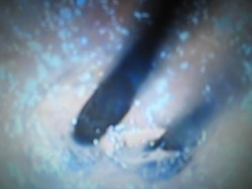 c0246876_22561457.jpg
