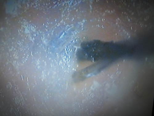 c0246876_226145.jpg