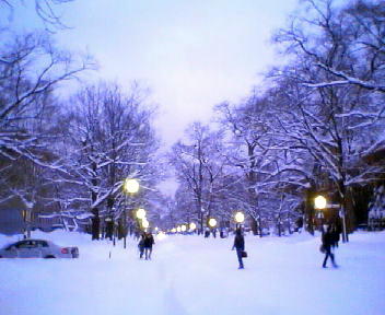 f0078286_1551135.jpg