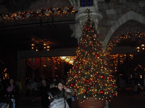 c0109090_120223.jpg