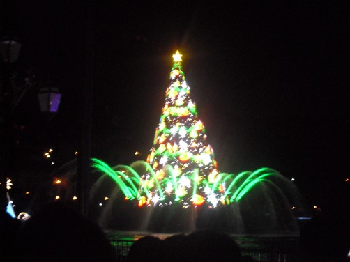 c0109090_1205577.jpg