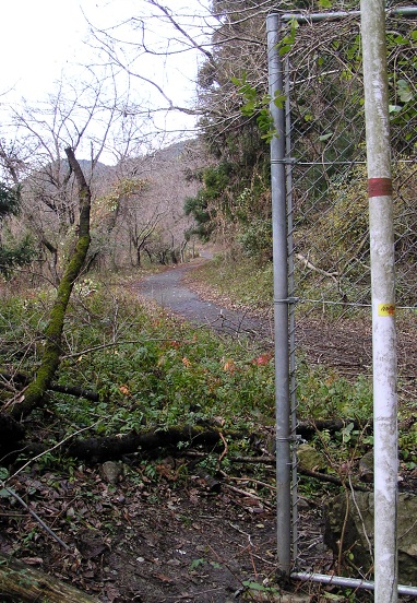 e0081292_22311054.jpg
