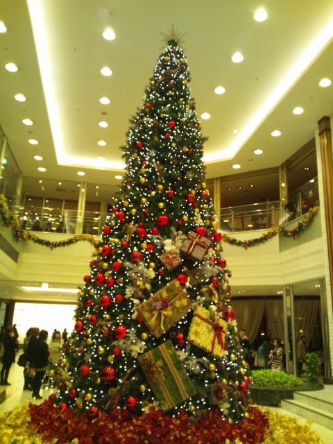 f0081293_849448.jpg
