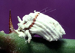 c0124100_1705167.jpg