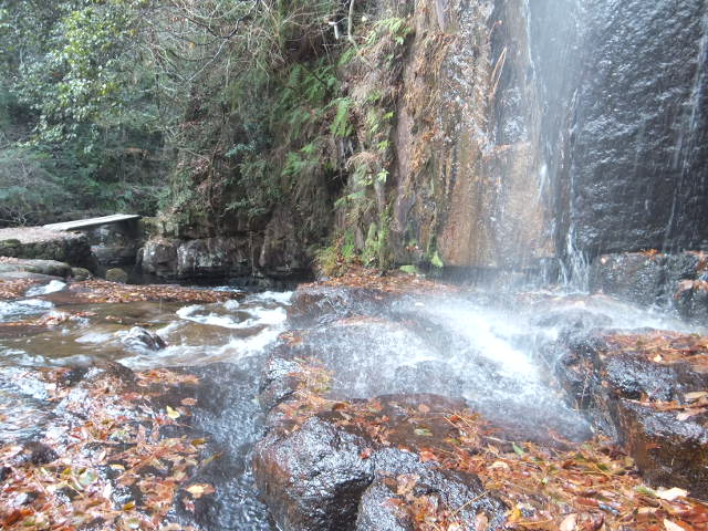 a0271502_15144312.jpg