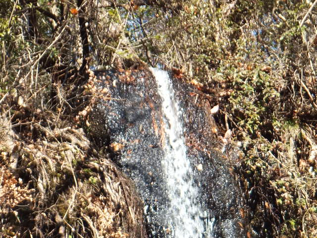a0271502_15203984.jpg