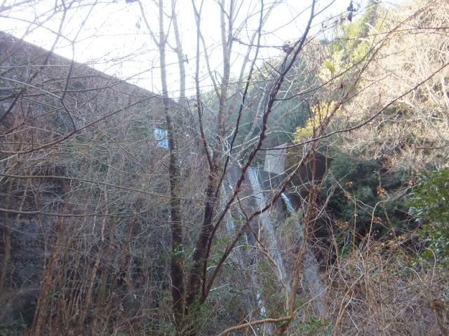 a0271502_1523350.jpg