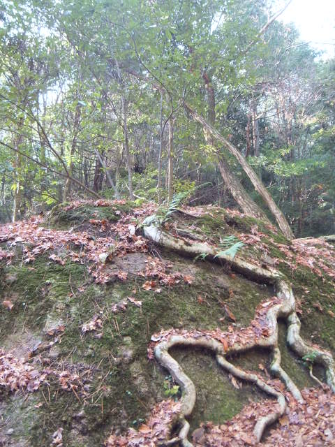 a0271502_16445584.jpg