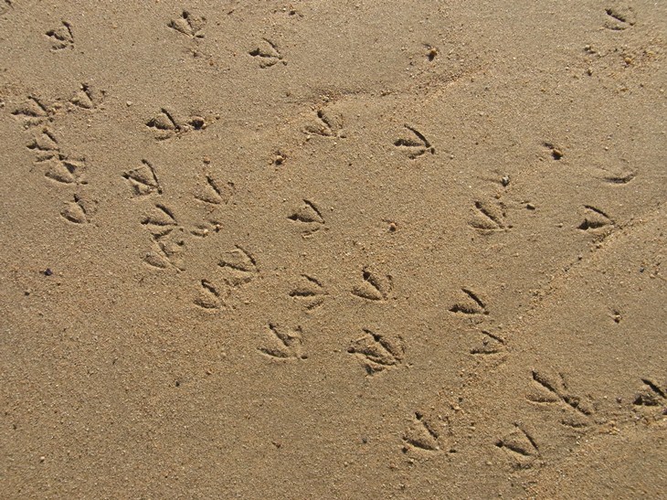 b0137208_23132156.jpg