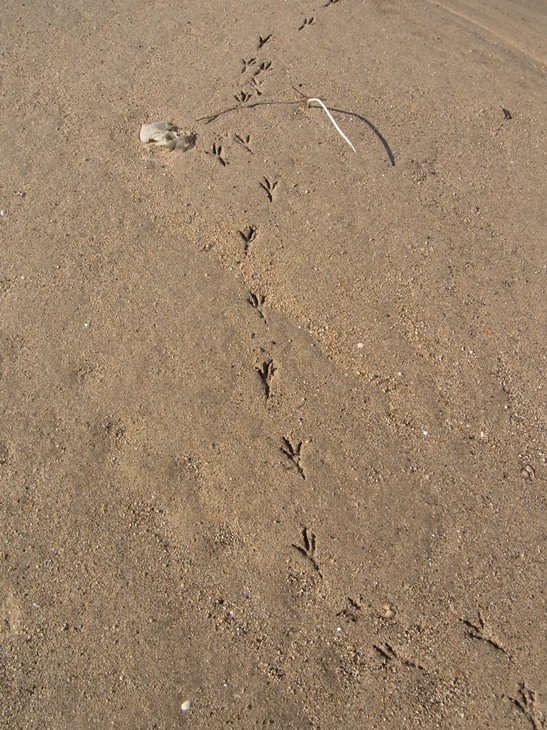 b0137208_2317104.jpg
