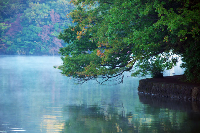 一碧湖と河津三郎祐泰の血塚_a0263109_1135145.jpg