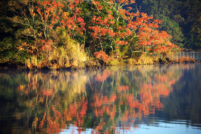 一碧湖と河津三郎祐泰の血塚_a0263109_11353337.jpg