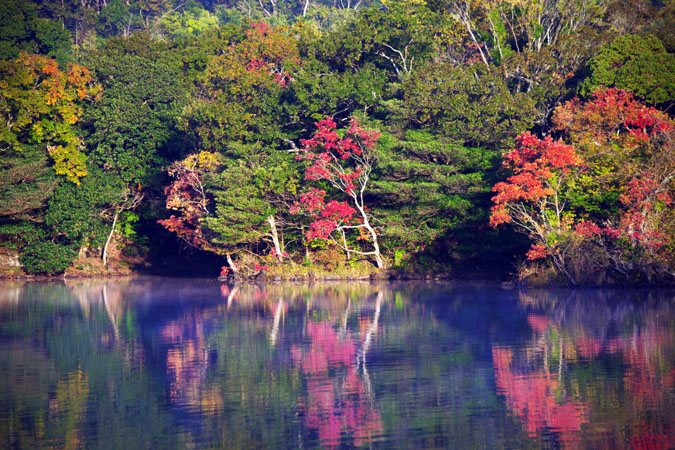 一碧湖と河津三郎祐泰の血塚_a0263109_11354358.jpg