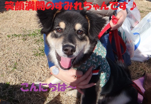f0121712_17201159.jpg