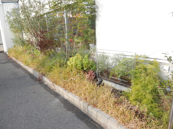 2012「中井マルシェ」&「貸切パーティー★」_a0125419_0261091.jpg
