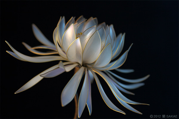 榮 Kanzashi Sakae 簪作家 榮 Kanzashi Sakae 簪作家