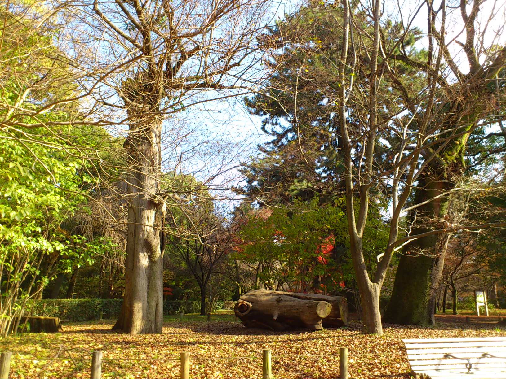 e0128024_0162511.jpg