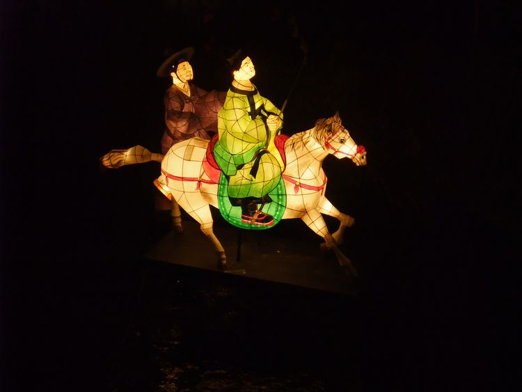 韓国旅行その7 「ソウル灯籠祭り＆デジカルビ」_d0148729_2194138.jpg