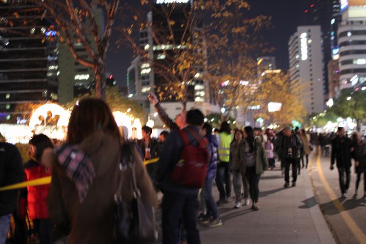 韓国旅行その7 「ソウル灯籠祭り＆デジカルビ」_d0148729_2195914.jpg