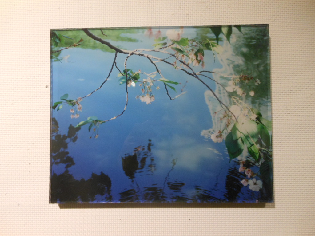 1919)「武山友子個展　『甘い憂鬱』」 創　12月12日（水）～12月17日（日）_f0126829_22201899.jpg
