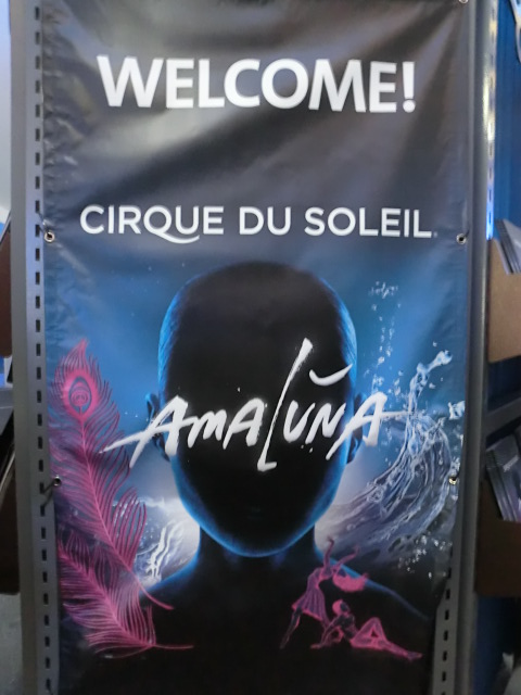 シルク・ドゥ・ソレイユ　「AMALUNA」_d0115731_8322998.jpg