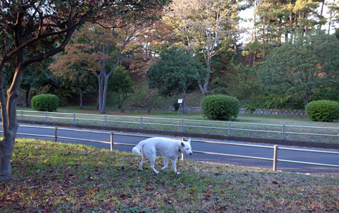 a0117039_23251092.jpg