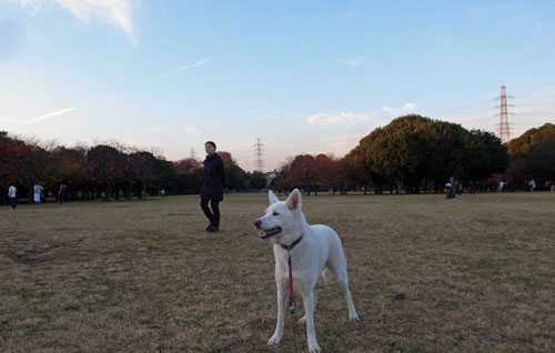 a0117039_23303513.jpg