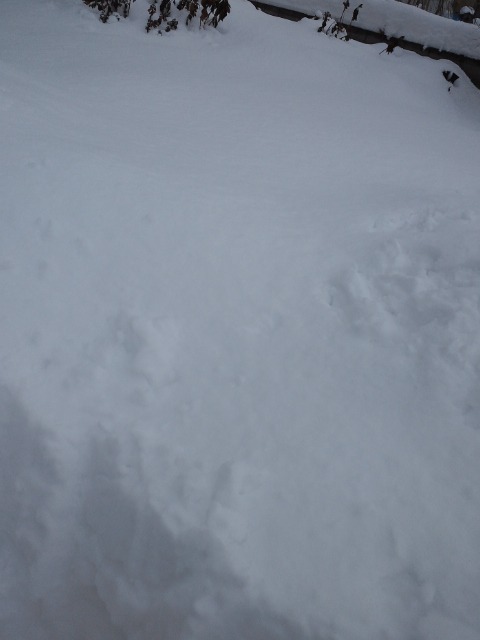 c0117239_9193744.jpg