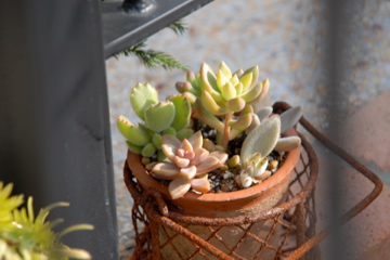 d0265755_1801054.jpg