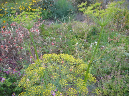 c0108460_21173773.jpg
