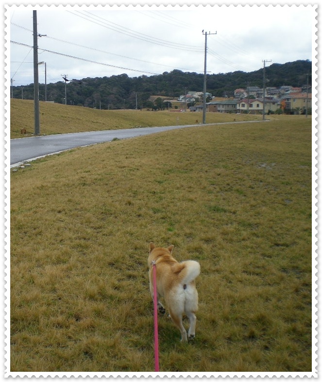 ’12,12,17(月)O型の射手座って?_f0060461_1623931.jpg