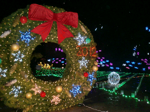d0137664_8494445.gif