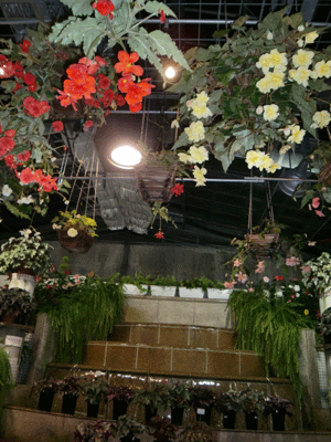 d0137664_8565653.gif